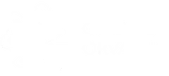 Gotas de Orvalho
